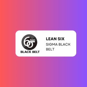 Lean Six Sigma Black Belt Certification Training