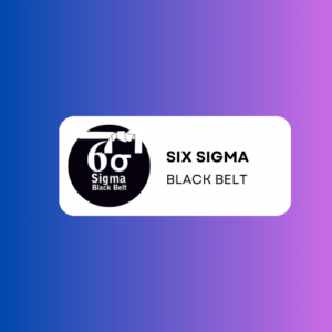 Six Sigma Black Belt Certification Training